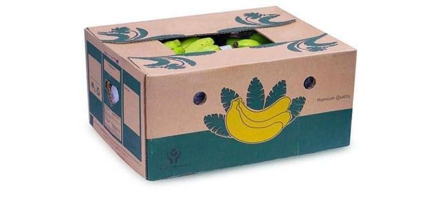 Hot Sale 2024 New crop Cavendish Vietnamese Bananas with High Quality Fresh bananas With Competitive Price – product photo 5, product detail gallery