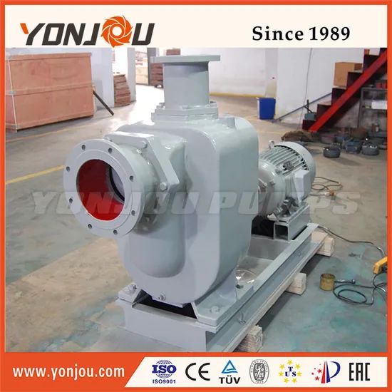 Zx Self Priming Stainless Steel Ballast Pump - Image 5