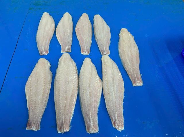 Frozen Pangasius Fillet - Image 3