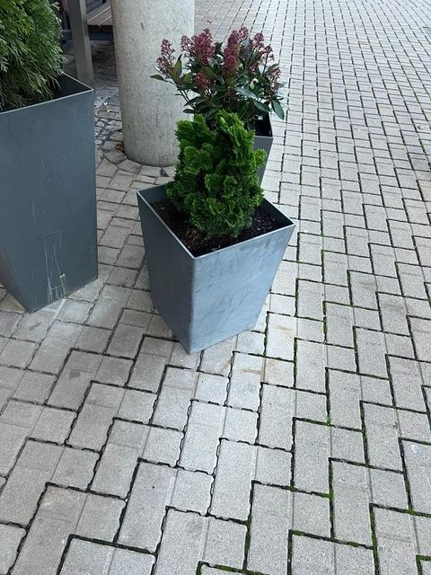 Exterior - Image 5