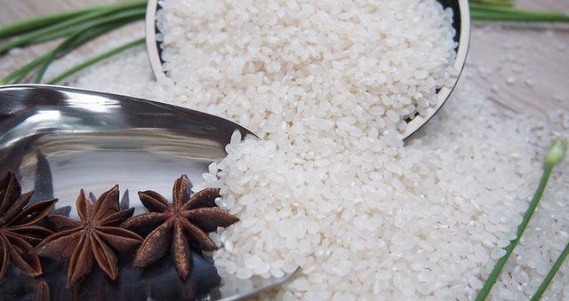JAPONICA RICE 3% BROKEN ROUND GRAIN RICE BIG SIZE VIETNAM ORIGIN GOOD QUALITYREASONABLE PRICE Riz Arroz whatsap 0084 989 322 607 – product photo 3, product detail gallery