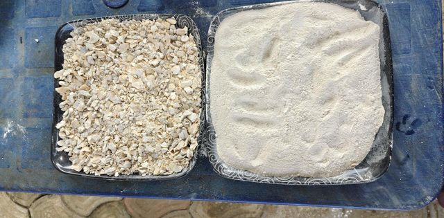 Crushed oyster shells Features Organic Form Powders, Whole Degree of Processing Dried - Image 3