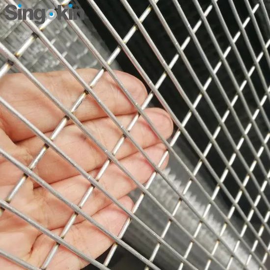 Best Selling Galvanized/Stainless Steel Square Welded Wire Mesh Aviary Mesh - Image 4
