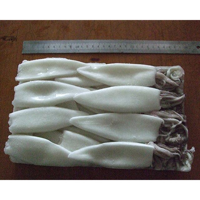 Natural Frozen Squid Whole Body Seafood Frozen Squid For Retail Packaging Food Preparation And Export Distribution - Image 4
