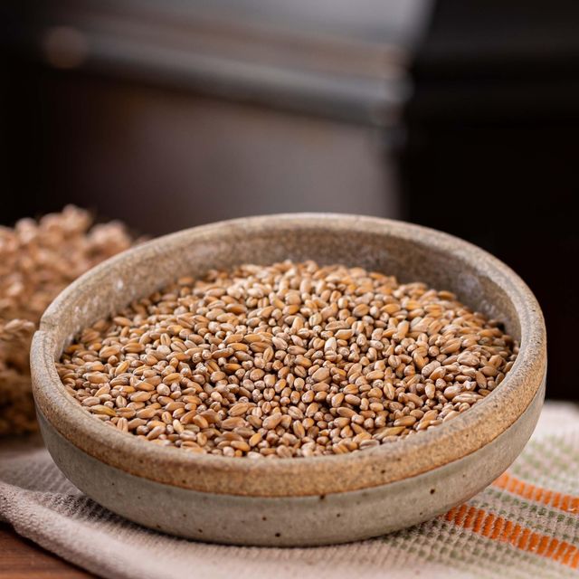Natural Durum Wheat Grain For Industrial Flour Production With 12% - 14% Protein Content - Image 3