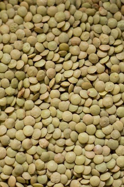 Dried Beans-Green Lentils- Green Lentils Whole (25kg) - Bulk Pack | Premium Quality | Buy Now 2 lbs – Edible Earth Farm Green Lentils (each) - Instacart - Image 4