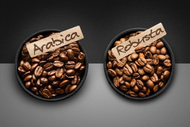 High Quality Organic Kenyan Robusta Coffee Beans Arabica Variety Roasted to Perfection Custom Packaging in Kenya - Image 5