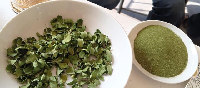 Moringa Powder - Image 2