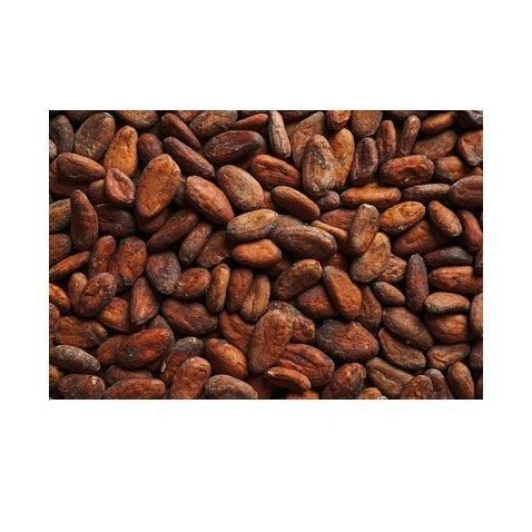 High Quality Cocoa Beans 100% Natural - Image 3