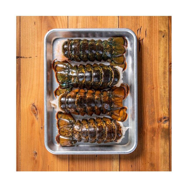 Wholesale Supplier Of Frozen Whole lobster, Frozen Lobster Tails - Image 3