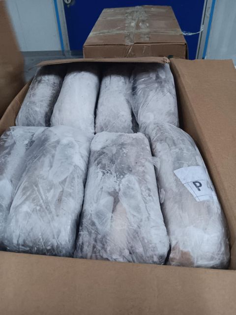 RELIABLE SUPPLY OF PREMIUM QUALITY SEAFOOD COMMON OCTOPUS(OCTOPUS VULGARIS) RICH FLAVOR WHOLE OCTOPUS SEAFROZEN 20KG CARTONS SALE - Image 3