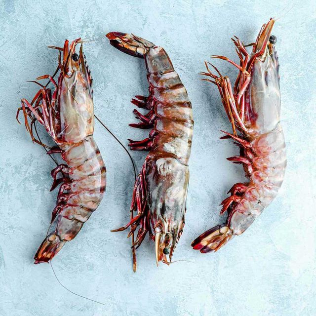 Frozen Tiger Shrimps Premium Seafood Choice Delivering Outstanding Texture Rich Nutritional Profile And Trusted Quality - Image 3