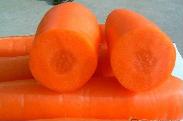 2026 New carrot High Quality Carrot,Fresh Carrot,Wholesale,New vegetables,Lowest price,80g-300g, - Image 3