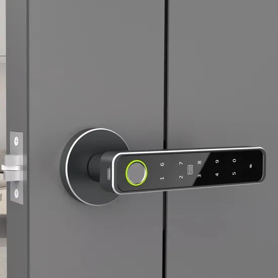 Ttlock APP Password Card Fingerprint Keyless Smart Electronic Biometric Handle Door Lock - Image 4