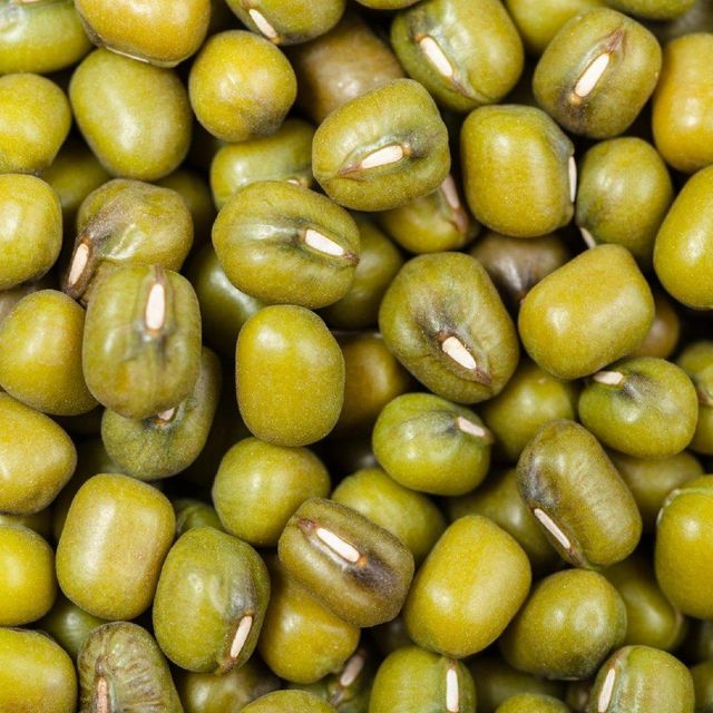 Green Mung Beans Bulk Premium Green Mung Beans Natural Protein Rich Healthy Legumes for Sale - Image 4
