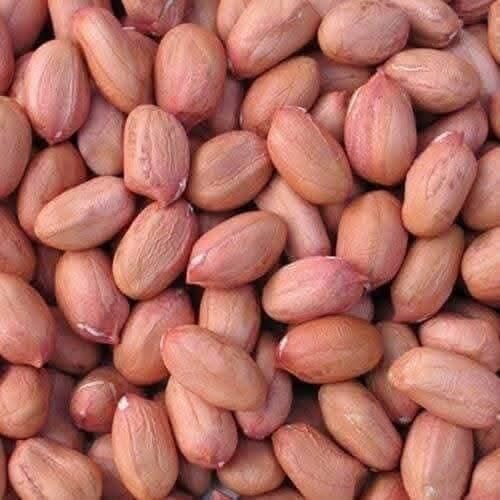 Highest Quality Organic Java Peanut Groundnut 100% Natural Wholesale Selling Bulk Supplier for Bulk Buyers - Image 3