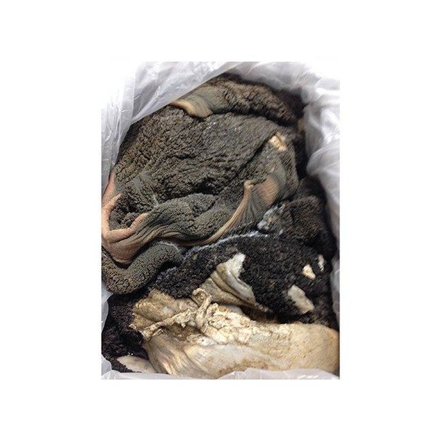 Wholesale raw beef tripe bulk supply ideal for pet food processing and culinary applications - Image 4
