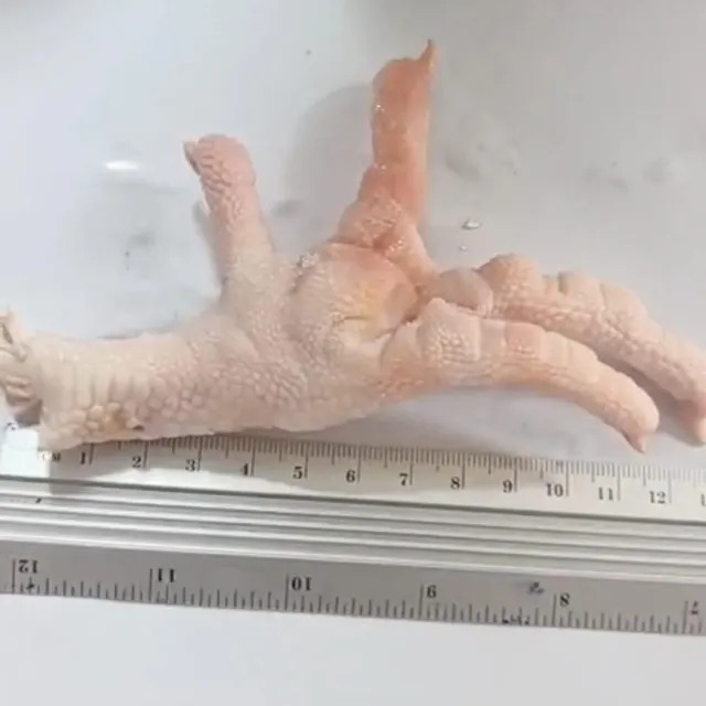 Frozen Chicken Paws , Premimum Quality, Grade A, Non Halal, 10 containers 40ft, Ready to load - Image 3