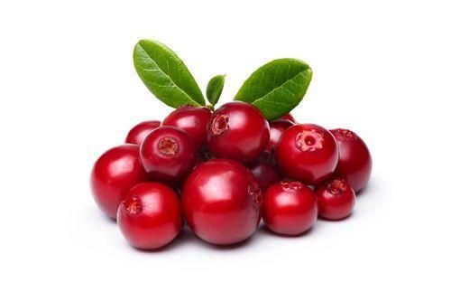 Lingonberry Juice Concentrate - Image 1