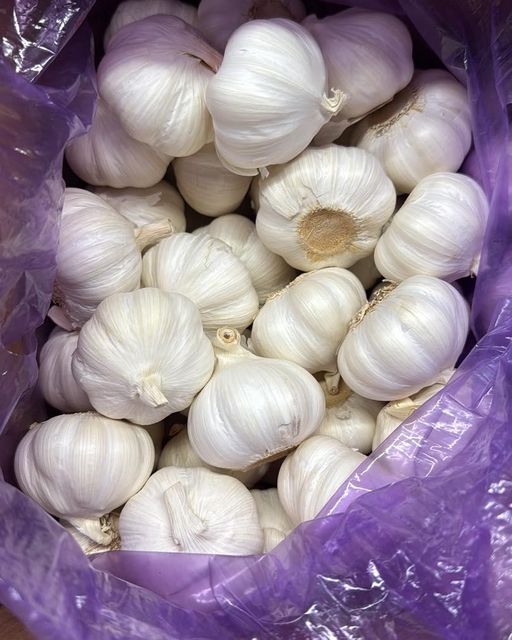 Premium Jinxiang White Garlic 4.5–6.5cm – Fresh Bulk Garlic Supply - Image 5