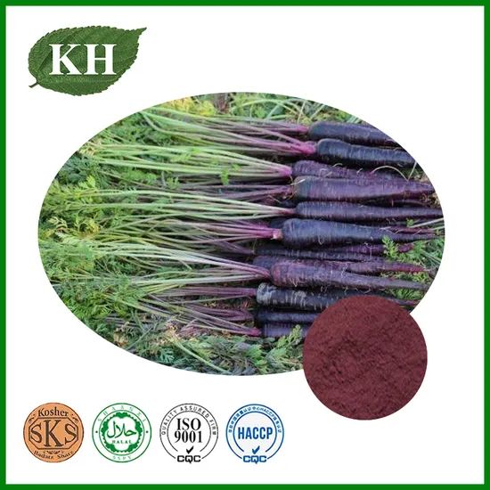 Health Food Natural Black Radish Powder - Image 1