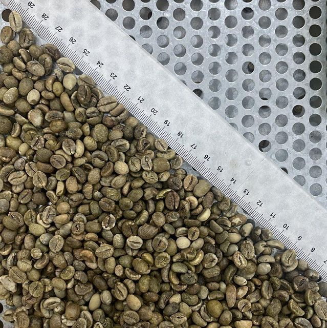 Green coffee Bean Robusta S16 Clean Origin Vietnam Features Gluten-Free Product Type Beverages, Vegetarian & Vegan Products - Image 1