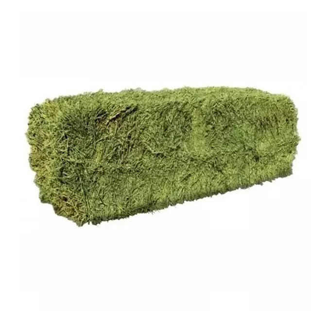 Alfalfa Hay (Lucerne) Green Alfalfa Hay (Lucerne) – High Digestibility Feed Bulk Alfalfa Hay (Lucerne) for Cattle, Horses & Sheep - Image 4