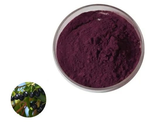 Pure Water Soluble Spray Dried Maqui Berry Concentrate Juice Powder - Image 2