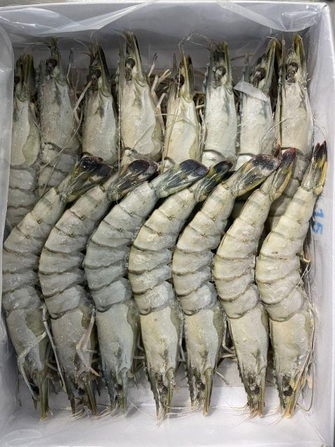 Frozen Black Tiger Shrimp HOSO - Image 5
