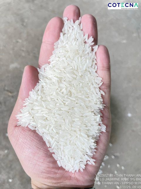 Vietnam long grain Jasmine rice 5% broken – product photo 3, product detail gallery