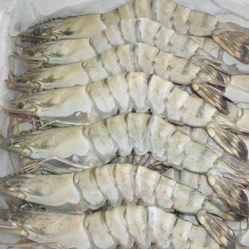 Frozen Prawns Nutrient Rich Seafood Selection With 95% Natural Content For Seafood Wholesalers And Bulk Purchasers - Image 2