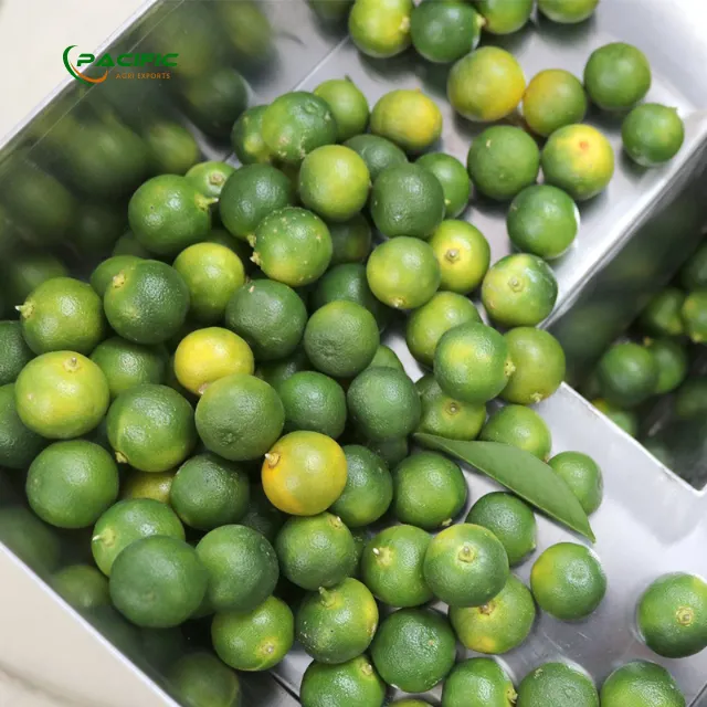 Calamansi Kumquat Juice 100% natural Type Frozen Quality BRIX Min 7 Ingredients 100% calamansi / - Image 5