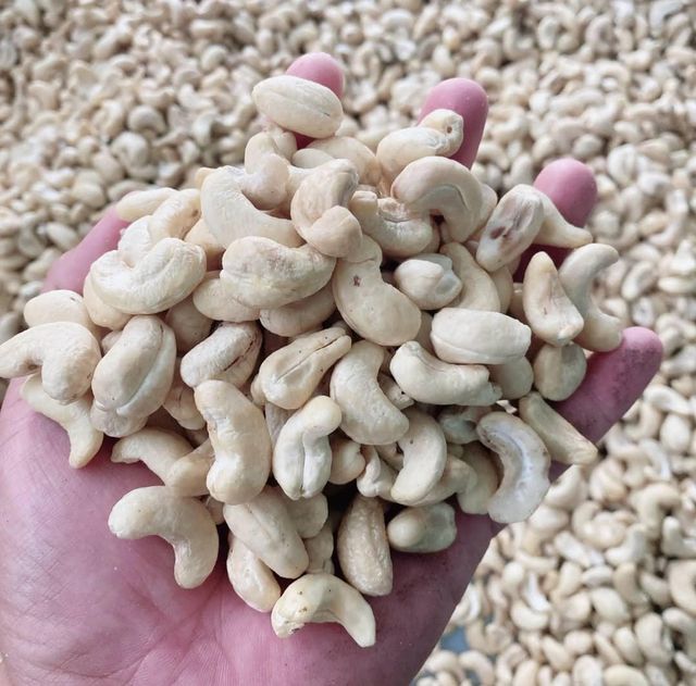 High Quality Top Grade Organic Cashews Premium  Export Quality Nuts Wholesale 100% Natural Dry Fruit Nutrient RichW180,W230, W420, W480  Whatsap +255795279787 - Image 4