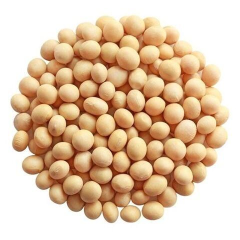Gmo Soyabean Yellow Soybean Soja Soya Beans GMO Soya Beans Soybeans Crop High Quality Soybean/Soya B - Image 1