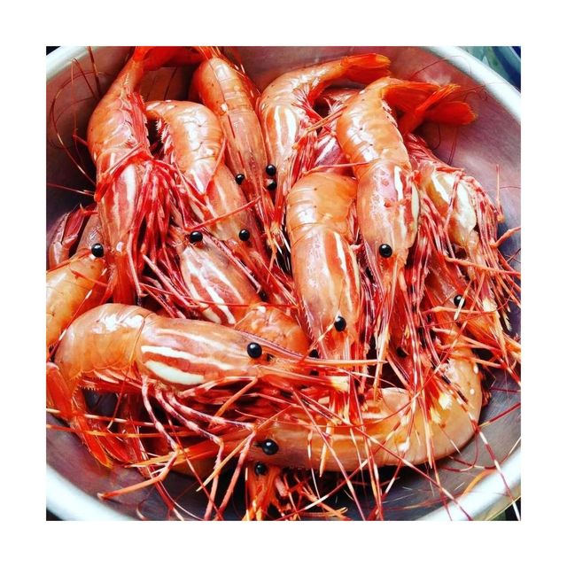 Frozen Fresh Red Shrimps Export Ready Seafood Offering Fresh Texture And Quality Assurance For Bulk Purchasing - Image 3