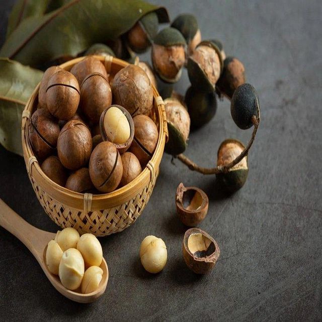Best Selling Wholesale Natural Dried Macadamia Nuts in Shell Grade One a Healthy Snacks Bulk Pack - Image 5
