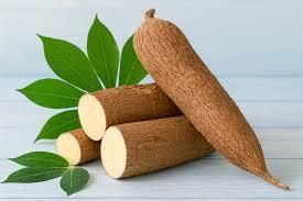 Fresh Cassava (Yuca / Manioc) – Premium Quality, Export-Grade Root Crop - Image 1