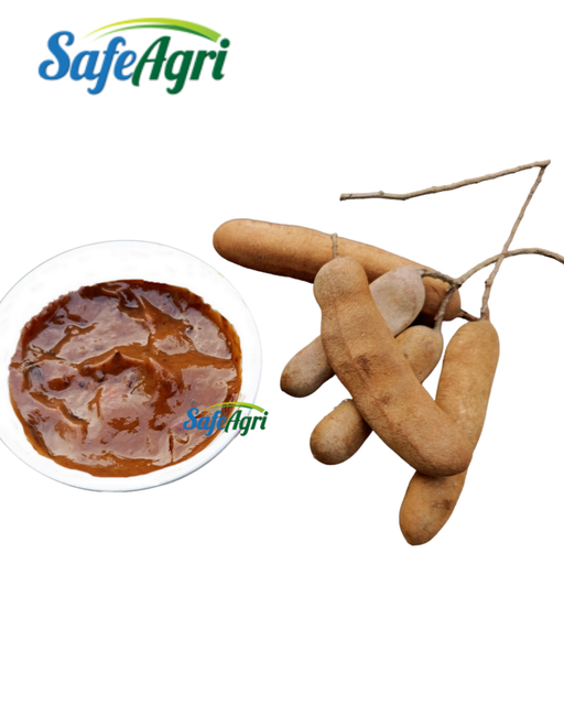 Tangy Tamarind Paste Thailand 7.6% Max Protien with 7.1% Max Moisture Brown Color Single Herbs & Spices with 2 Years Shelf Life - Image 4