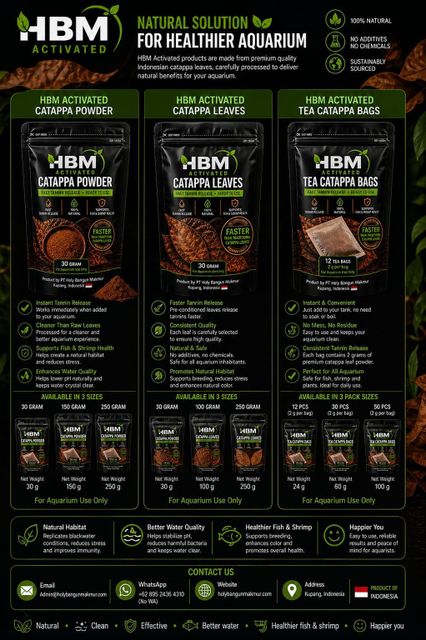 HBM ACTIVATED DRIED CATAPPA LEAVES 100% Natural no chemical or additive FOR AQUARIUM USE NOT FOR HUMAN CONSUMPTION - Image 4