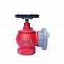 Fire Fighting Equipment and Accessories Hydrant System Valve Indoor Fire Hydrant - Image 6
