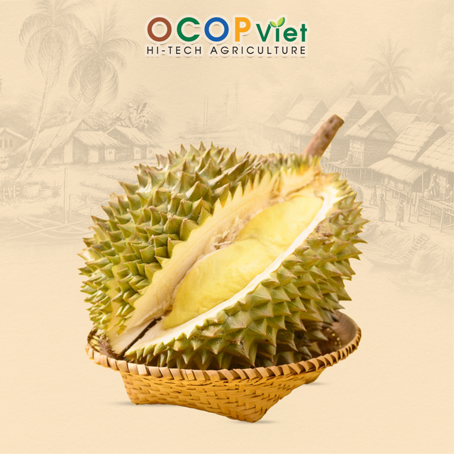 Sầu riêng Thái - Thai Durian - Image 4