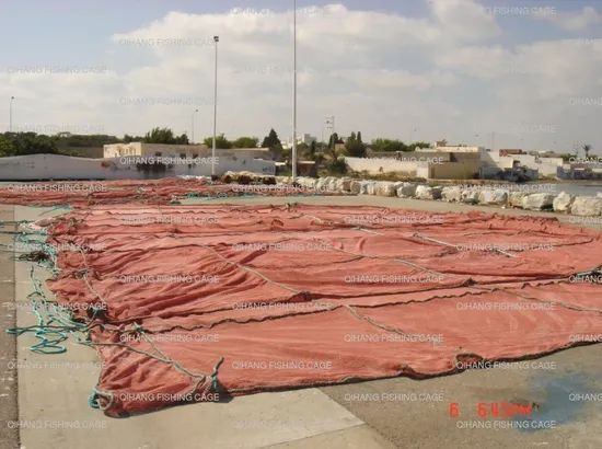 PE Knotless Fish Farming Fishing Net Ply Other Style Other Material PE Trademark QH Usage Fishing Diameter Other Color Any - Image 4