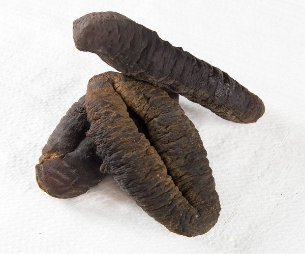 Best selling Dried Sea Cucumber for sale Sea Cucumber Dry Sea Cucumber - Image 5