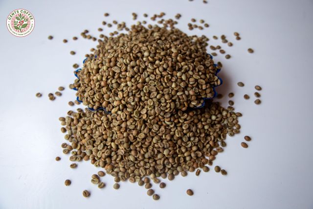 ROBUSTA SCREEN 15 - Image 4