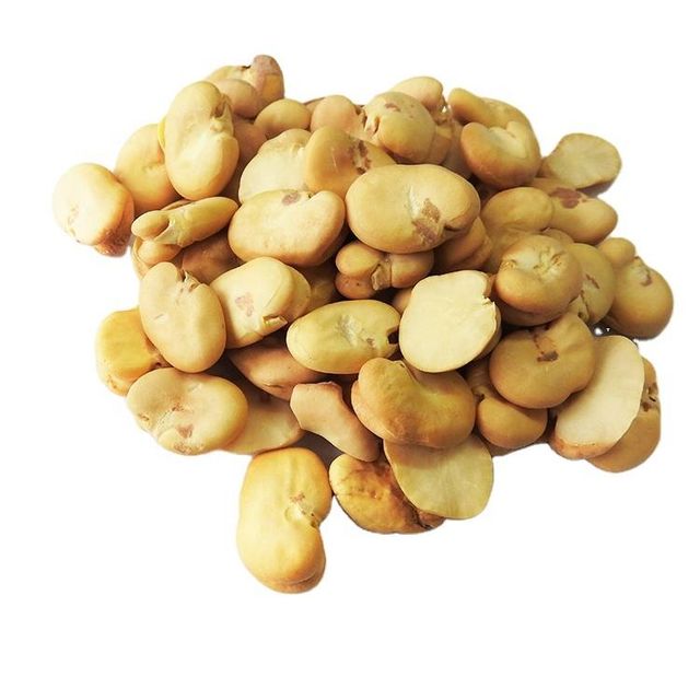 Peeled whole Broad Beans Peeled By hand wholesale - Image 1