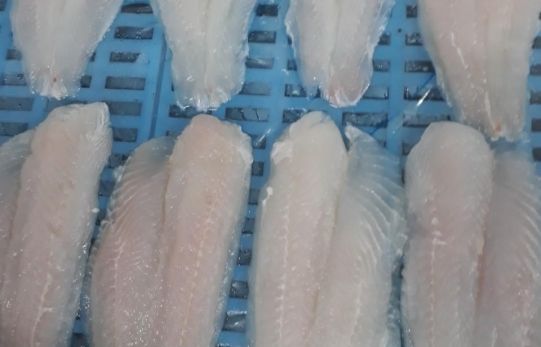 Pangasius Frozen Pangasius Fillet/Seafood/Pangasius/Best Price - Image 5
