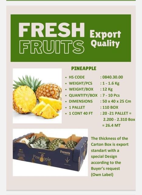 FRESH TROPICAL FRUITS - Image 2
