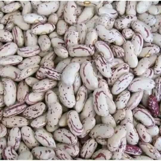 QUALITY WHITE KIDNEY BEANS READY FOR EXPORT +255787979235 Grade A Style Dried Moisture 16% Shape Long,flat Origin Tanzania - Image 5