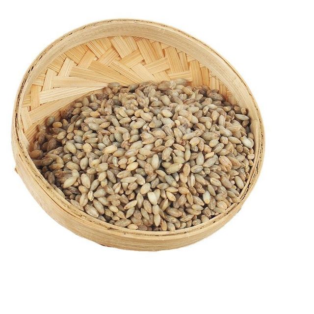 Wholesale Barley Grains Cheap Price Good Quality Highland Barley Rice - Image 4