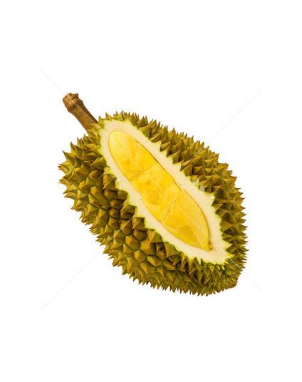 Seed Durian Fruit Export Grade Pack 500g Sweet Fresh Durians from Thailand Fresh Durian Fruit for sale Small - Image 1